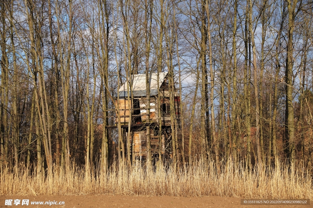 小屋