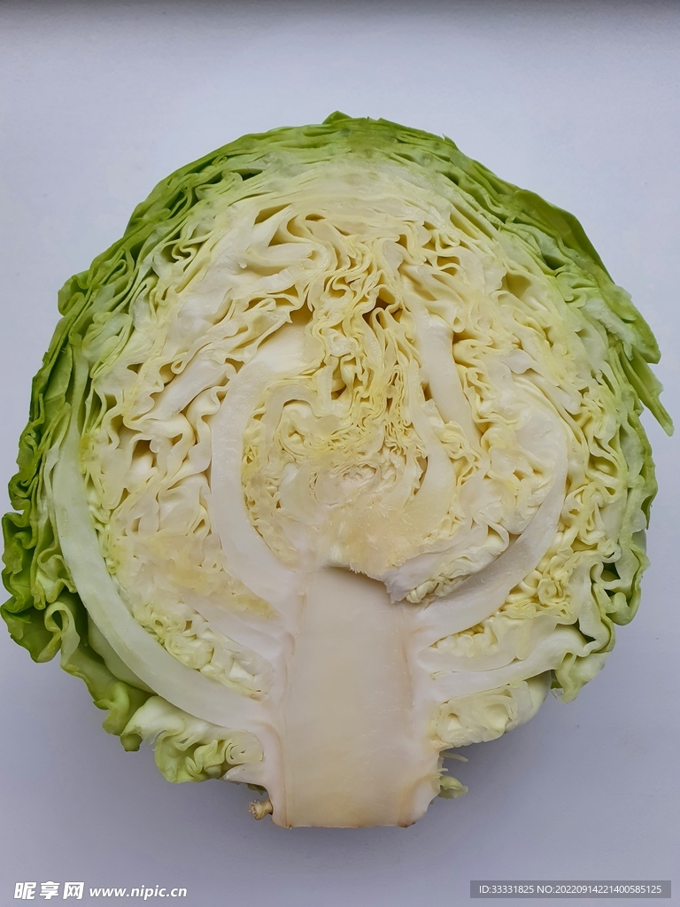 卷心菜