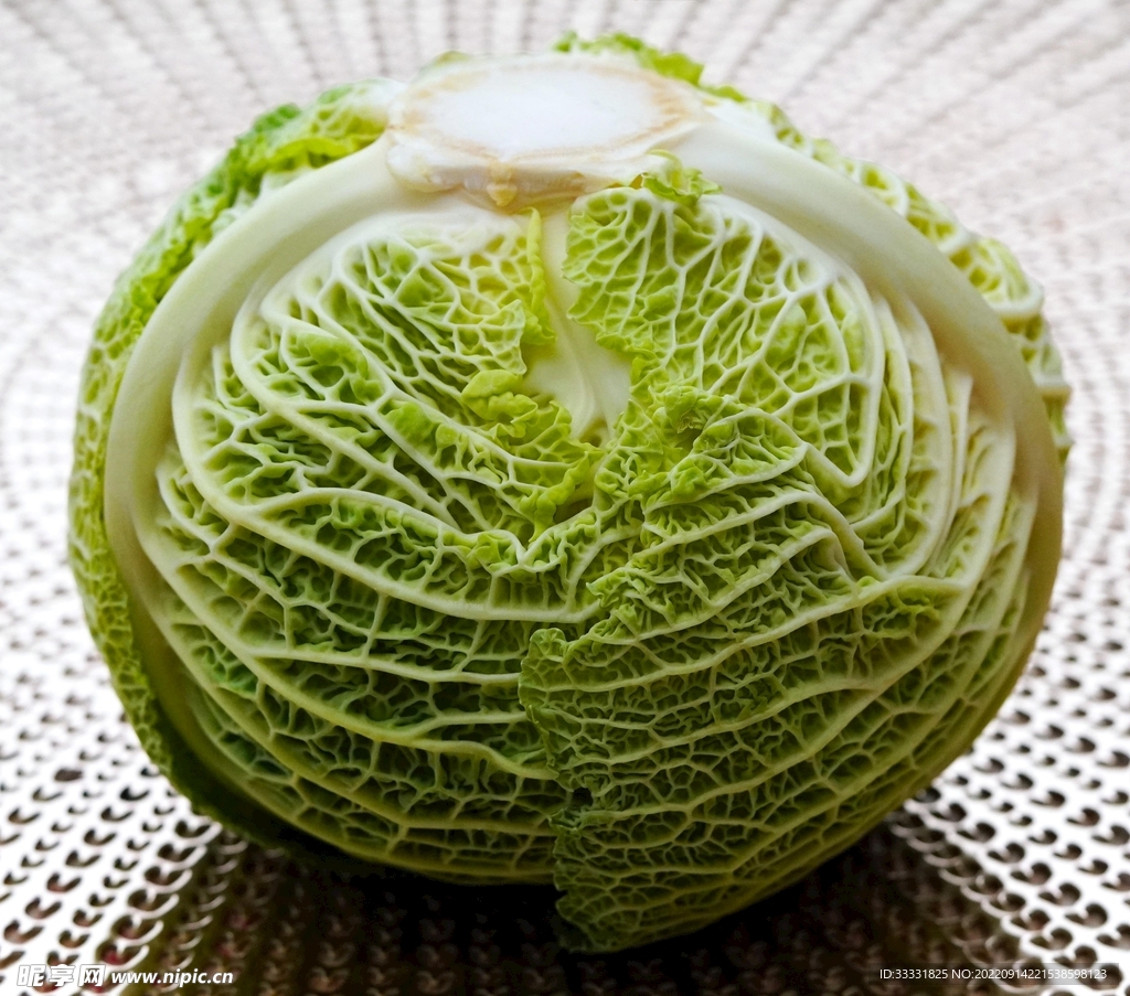 卷心菜