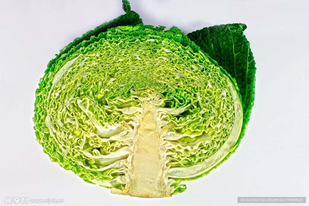 卷心菜