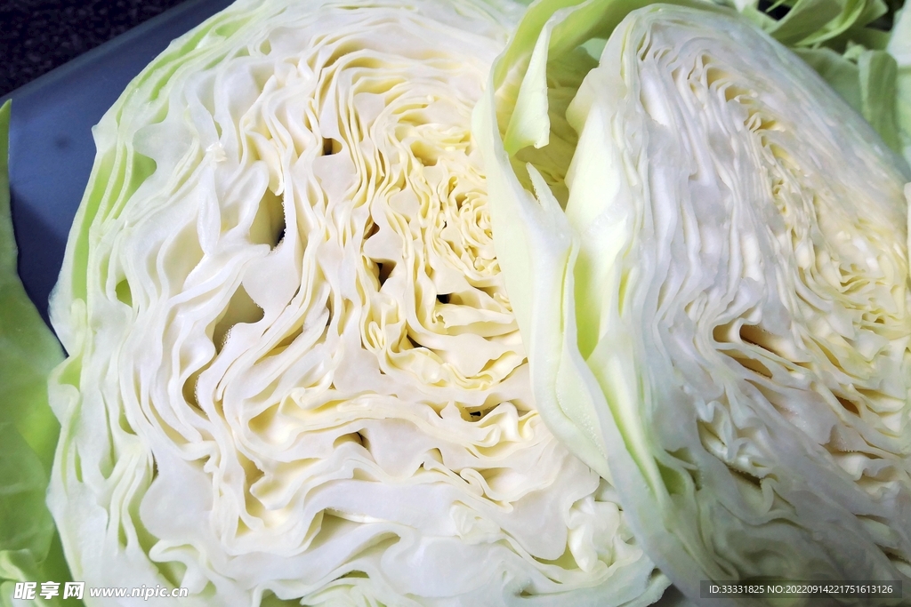卷心菜