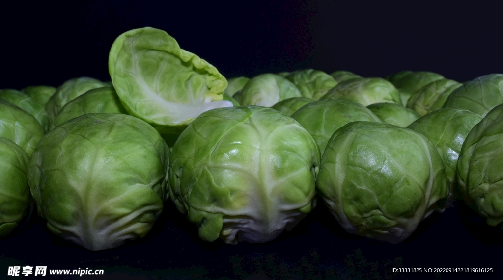 卷心菜