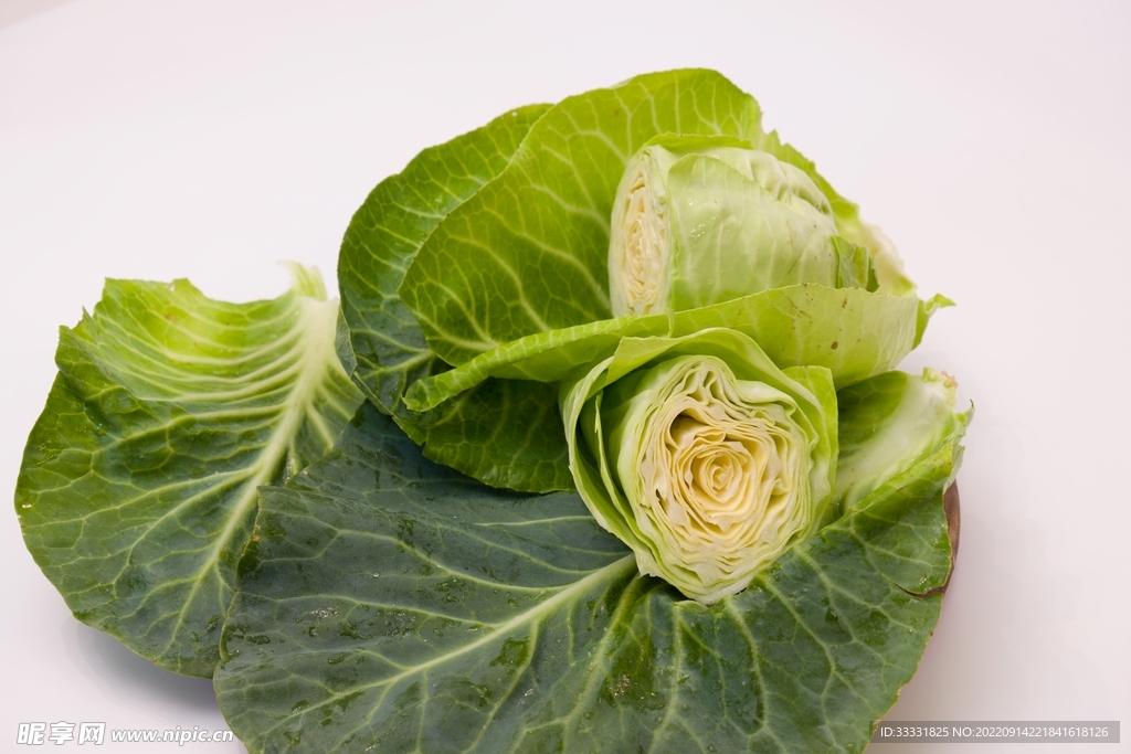 卷心菜