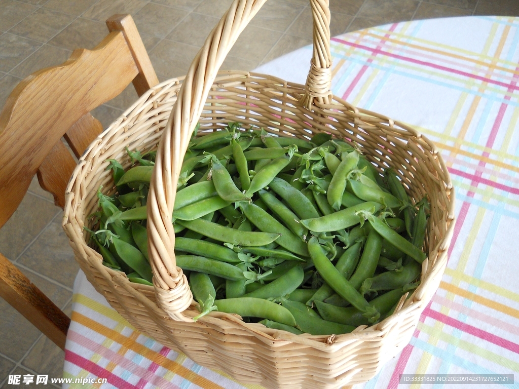 豌豆