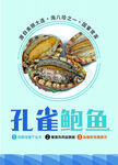 鲍鱼海鲜海报