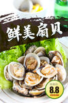 扇贝海鲜海报