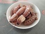 虾姑