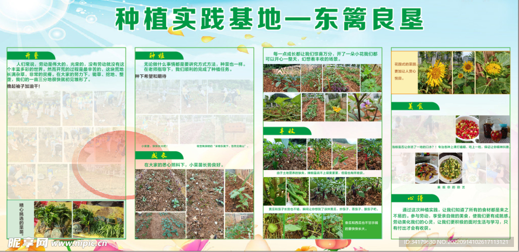 种植活动展板