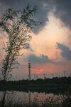 河边夕阳