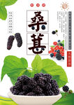 桑葚