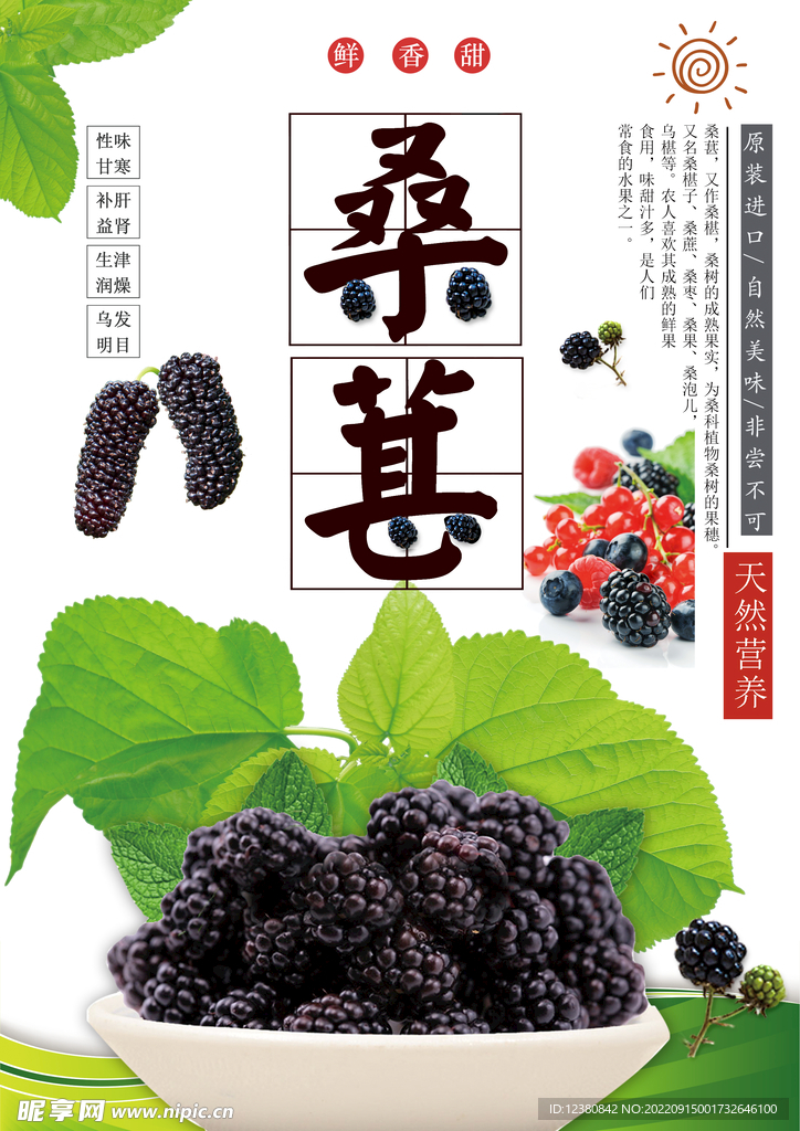 桑葚