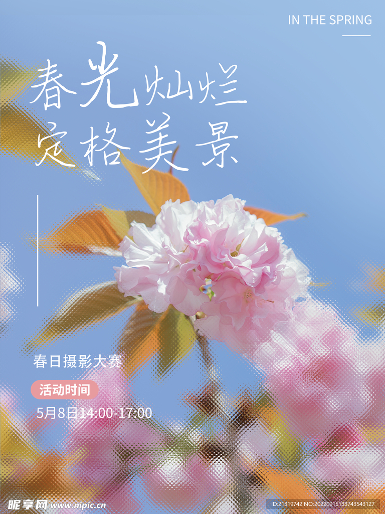 春日摄影活动海报