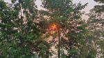 太阳