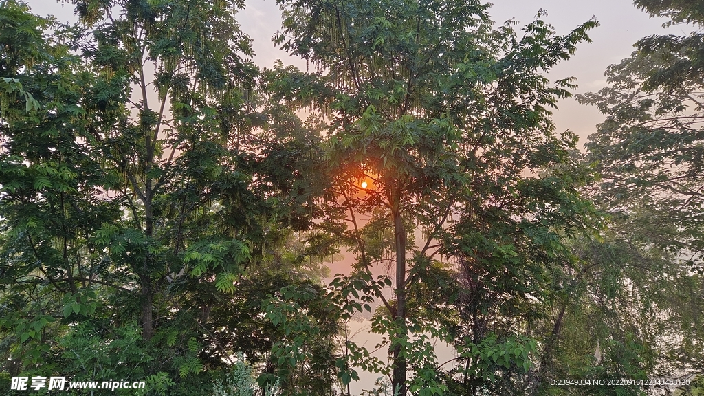 太阳