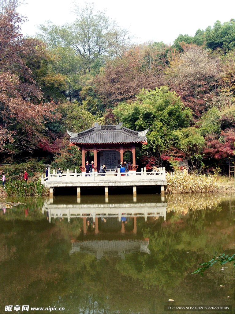 栖霞山秋天