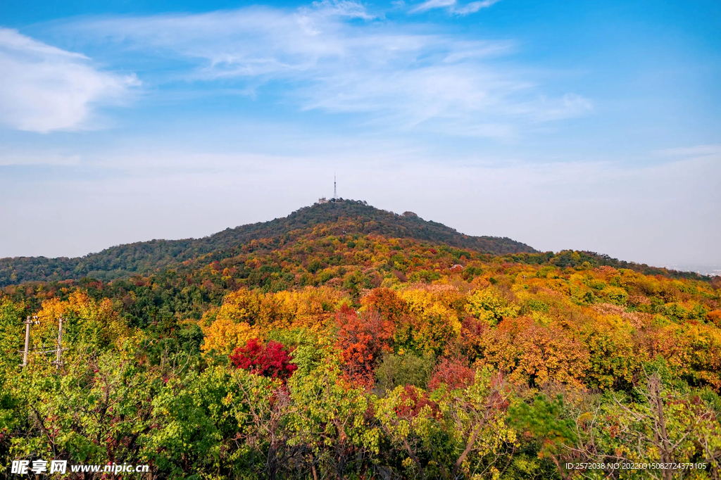 栖霞山秋天