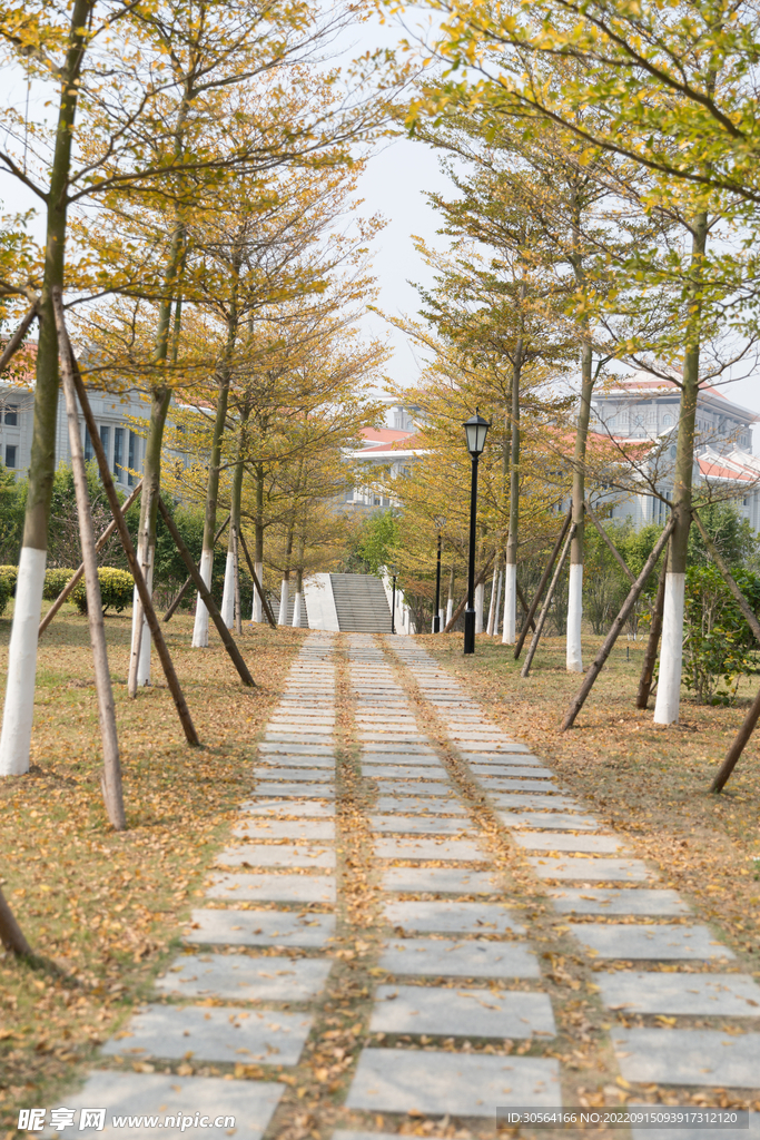 公路道路