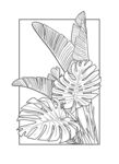 热带植物芭蕉叶子插画线稿