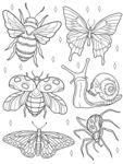 蝴蝶蜗牛蜜蜂昆虫插画线稿