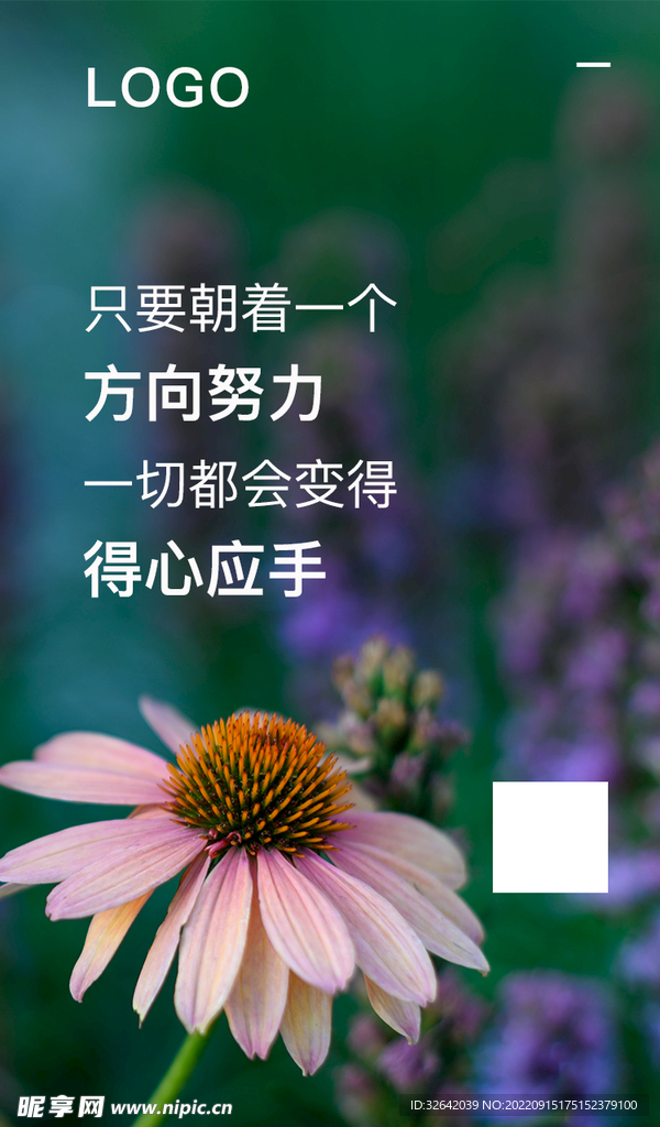 早安