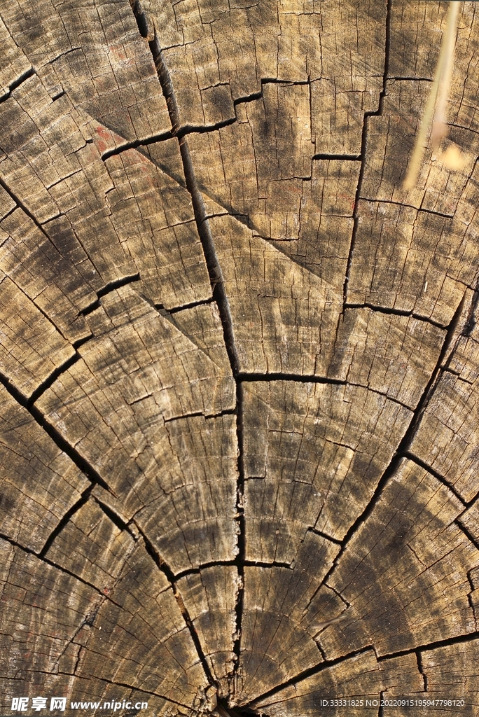 木纹背景