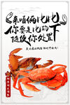 大闸蟹海鲜海报