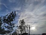 诗意天空