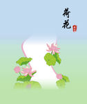荷花2