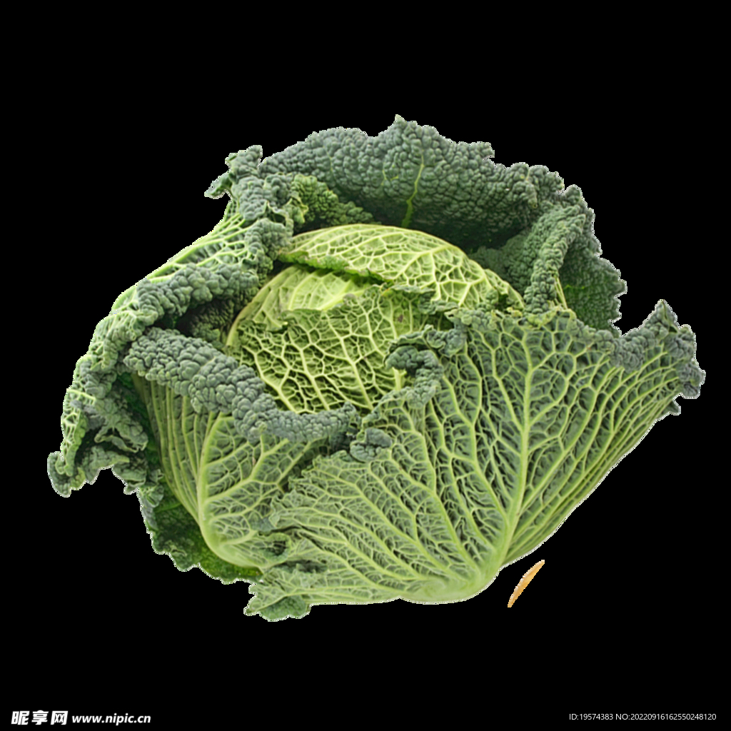 一颗包菜