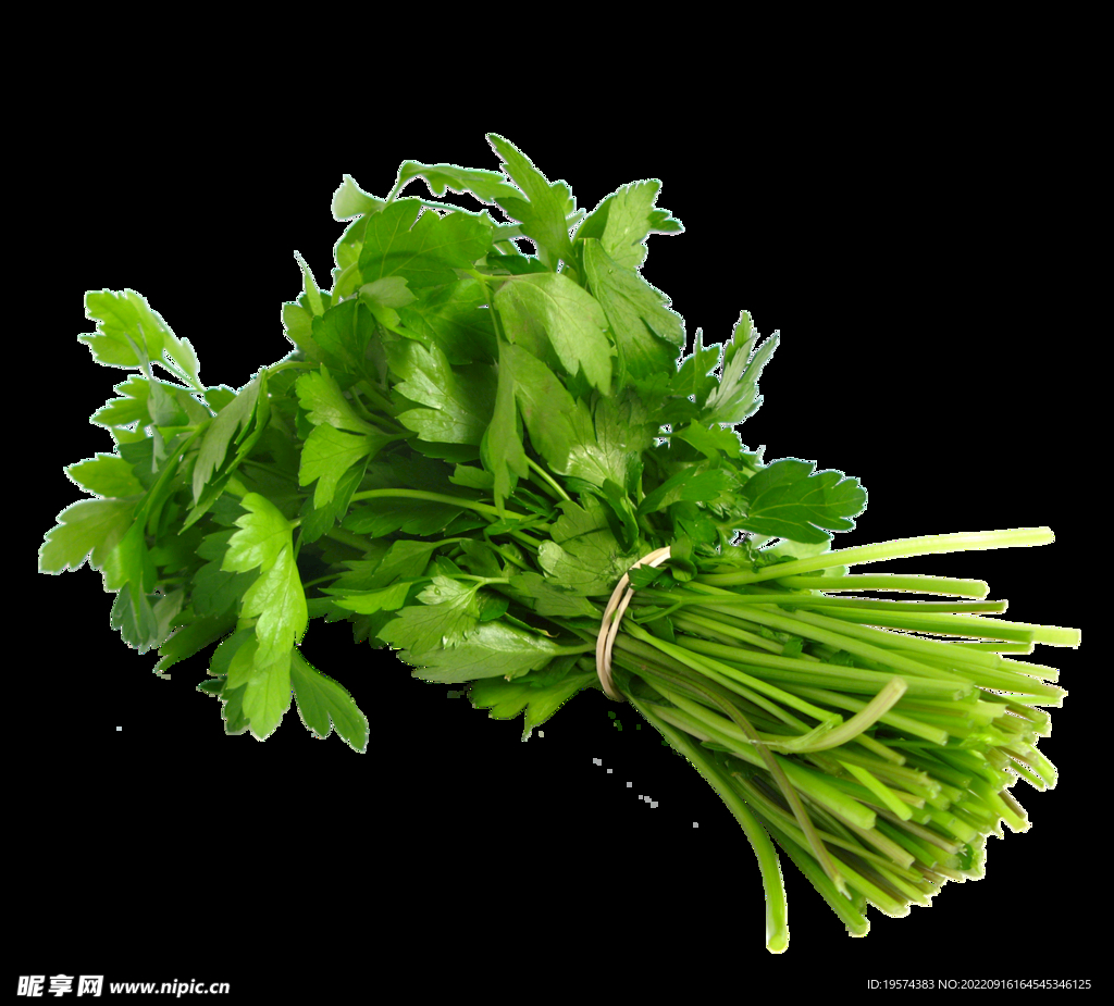 一把香菜