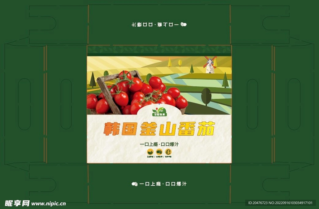 小柿子 番茄 水果 包装 圣女