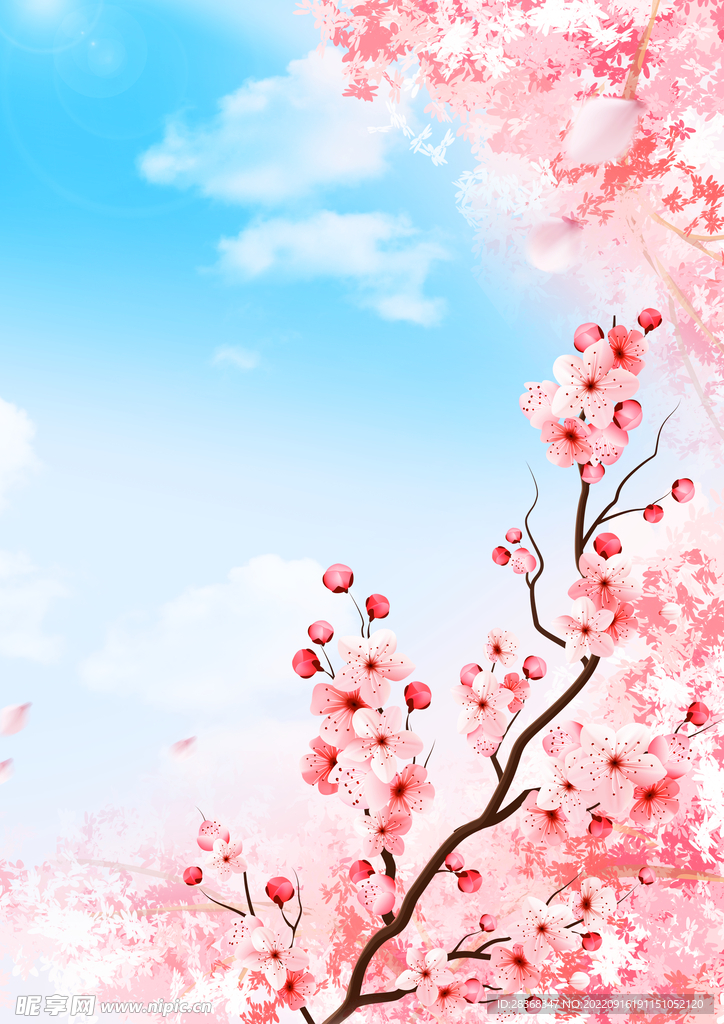粉色背景