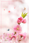 手绘桃花插画海报图片