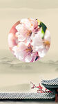  手绘桃花插画海报图片