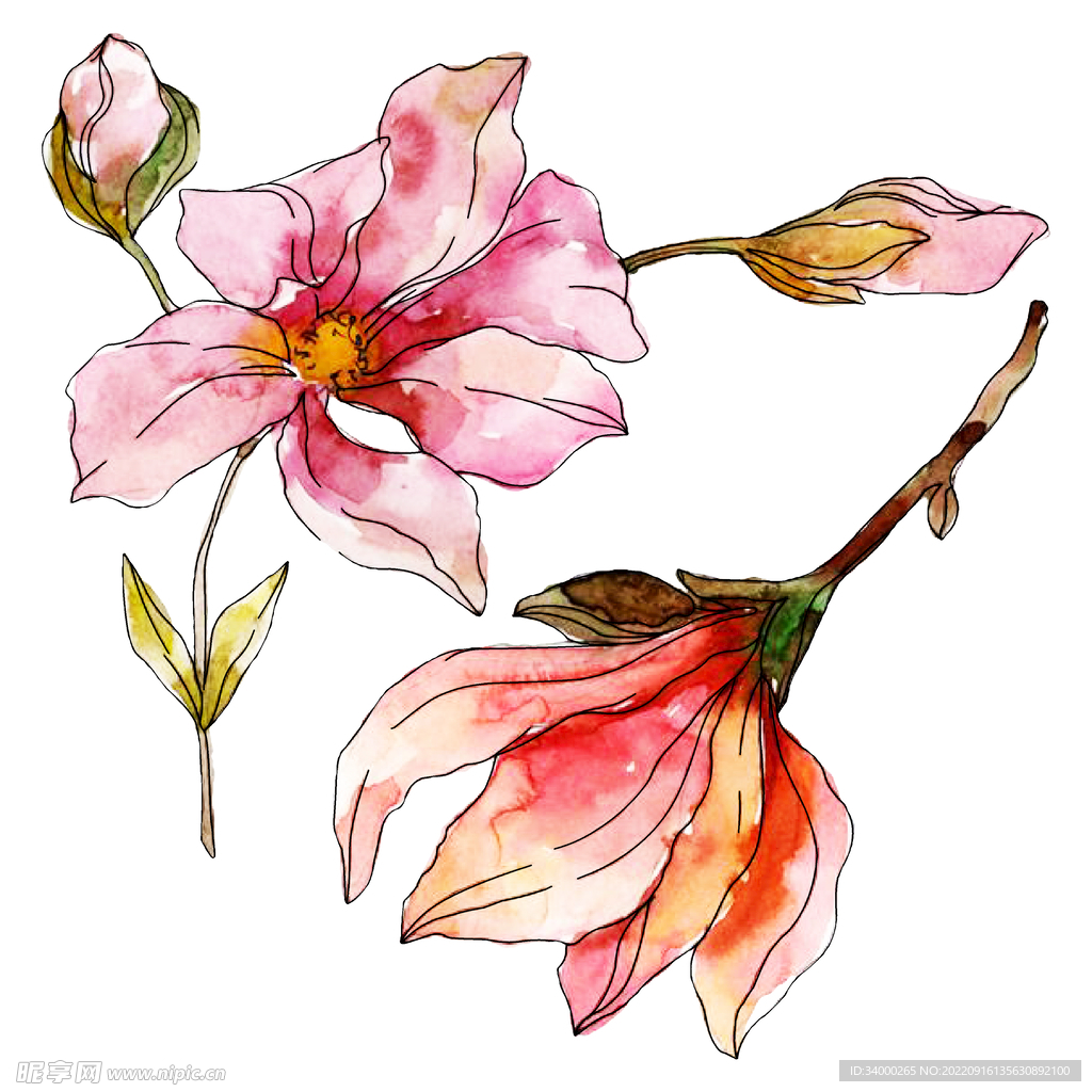 素材花