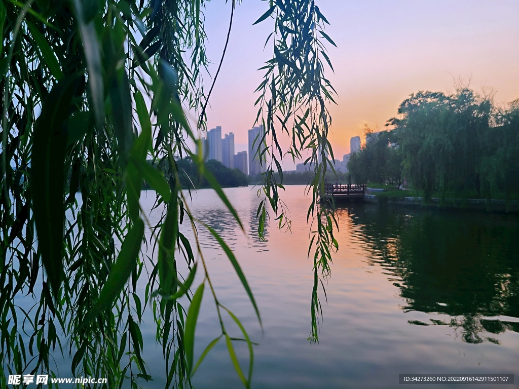 美丽的湖景