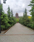 公园风景