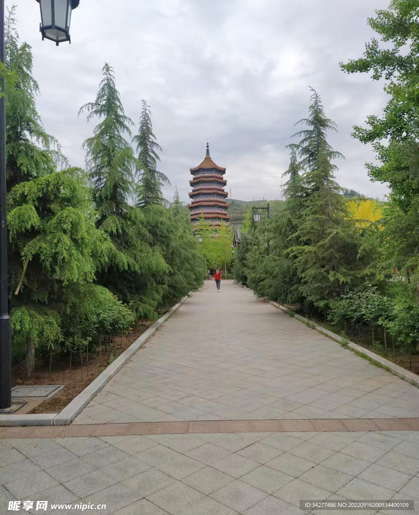 公园风景