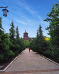 公园风景
