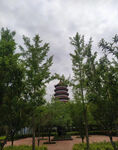 户外风景