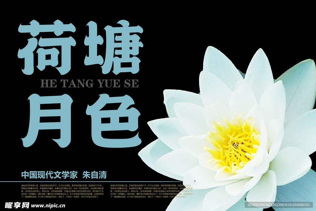 荷塘月色海报