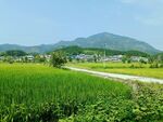 田园风光