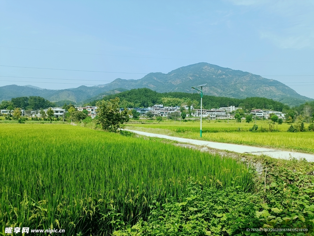 田园风光