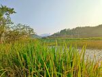 水岸