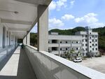 学校