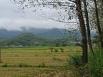 田园风光