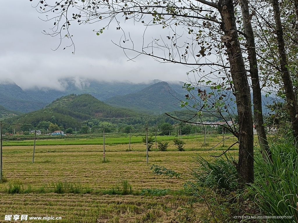 田园风光