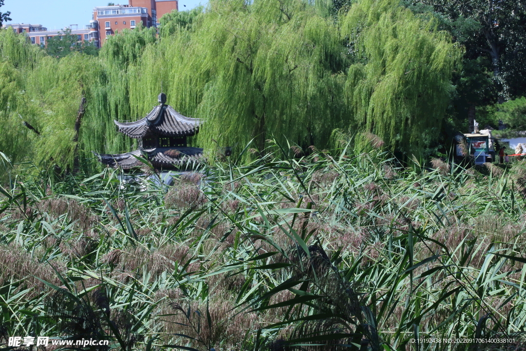 陶然亭风景