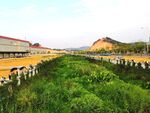 美丽的公园河道风景