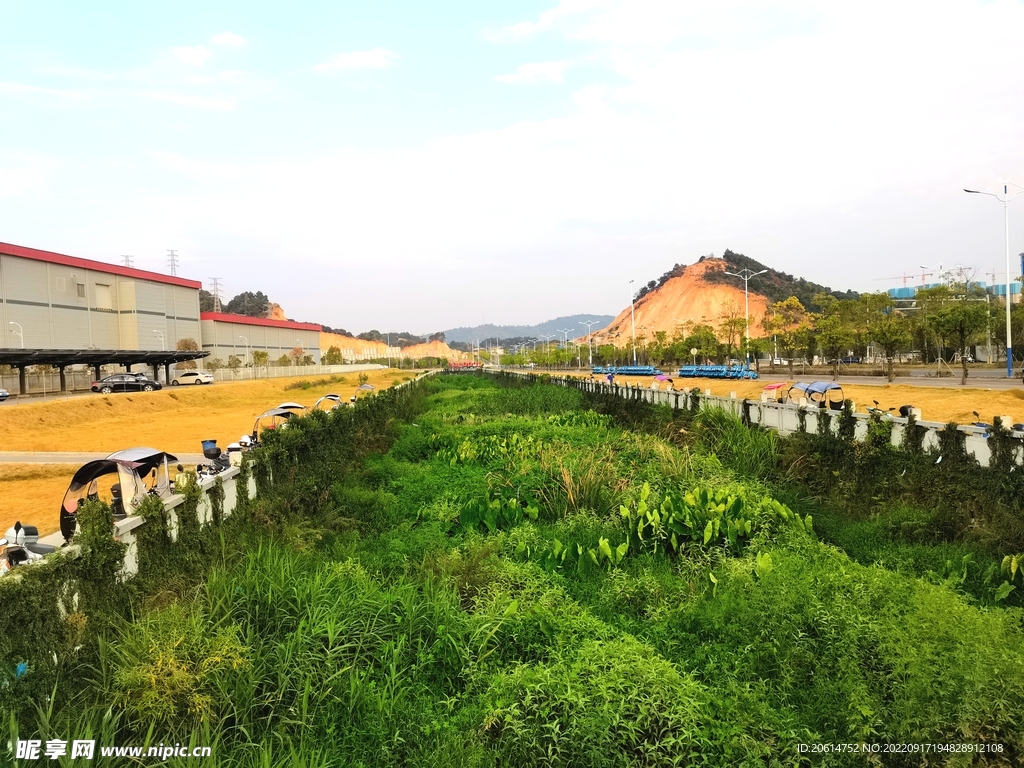 美丽的公园河道风景